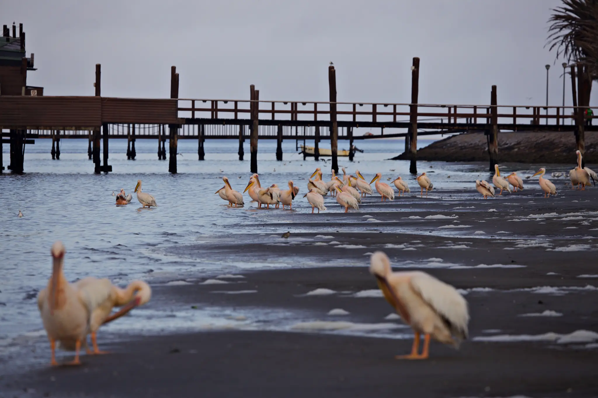 AdobeStock_849511940.jpeg