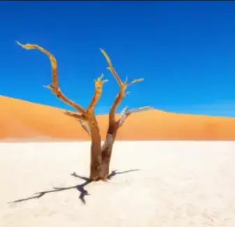 Capture d’écran 2025-10-02 150512.png