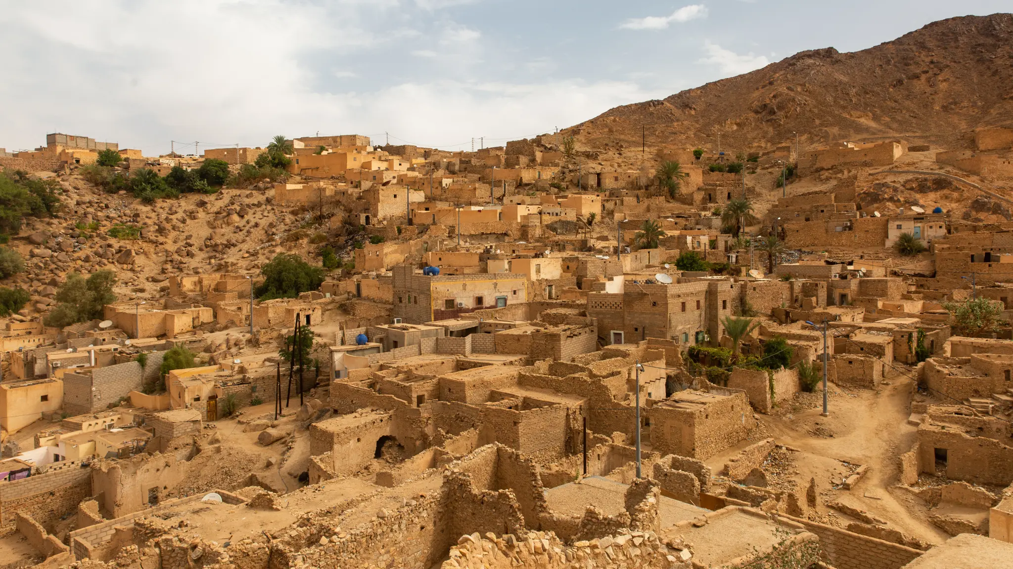 AdobeStock_268692654.jpeg