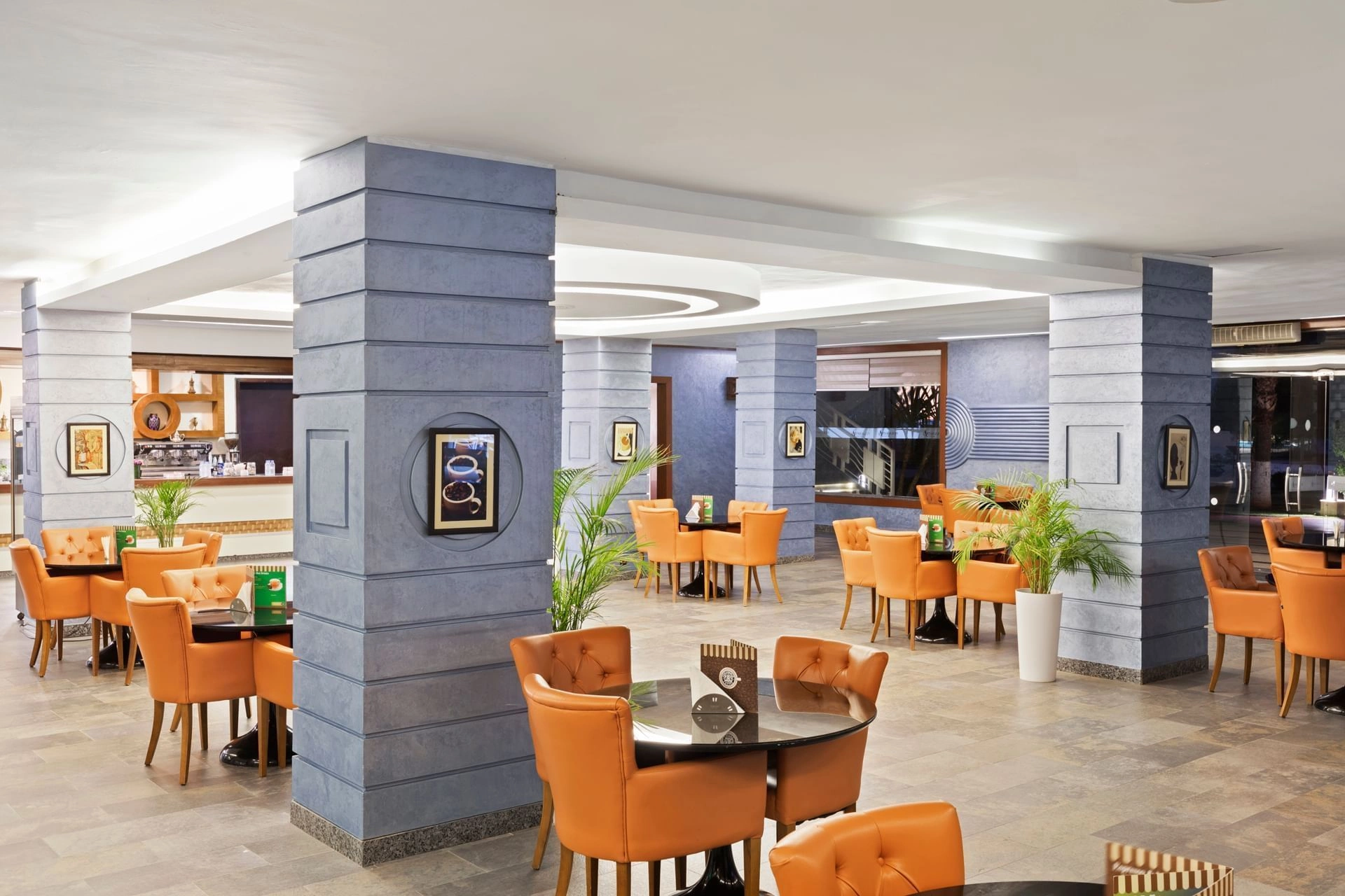 08_culomus_bar.jpg