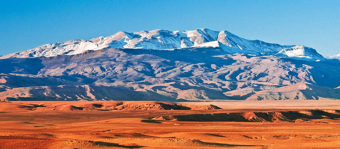 223007442.jpg