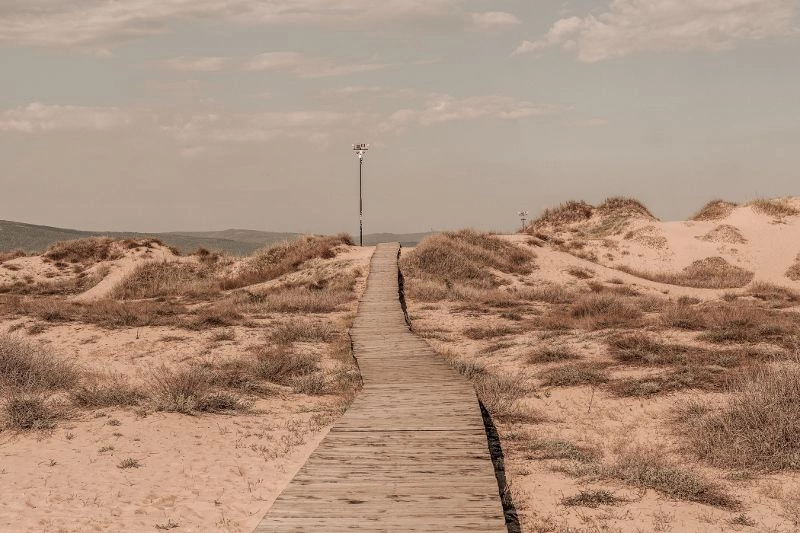 beach_1.jpg