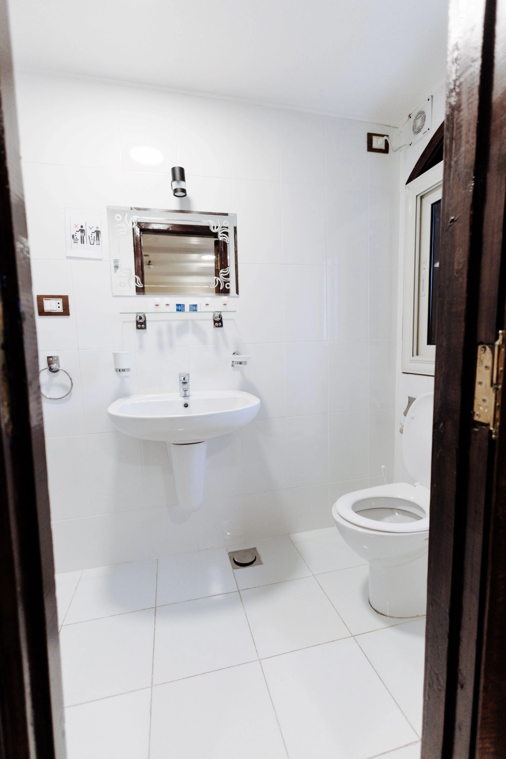 twns0990.jpg