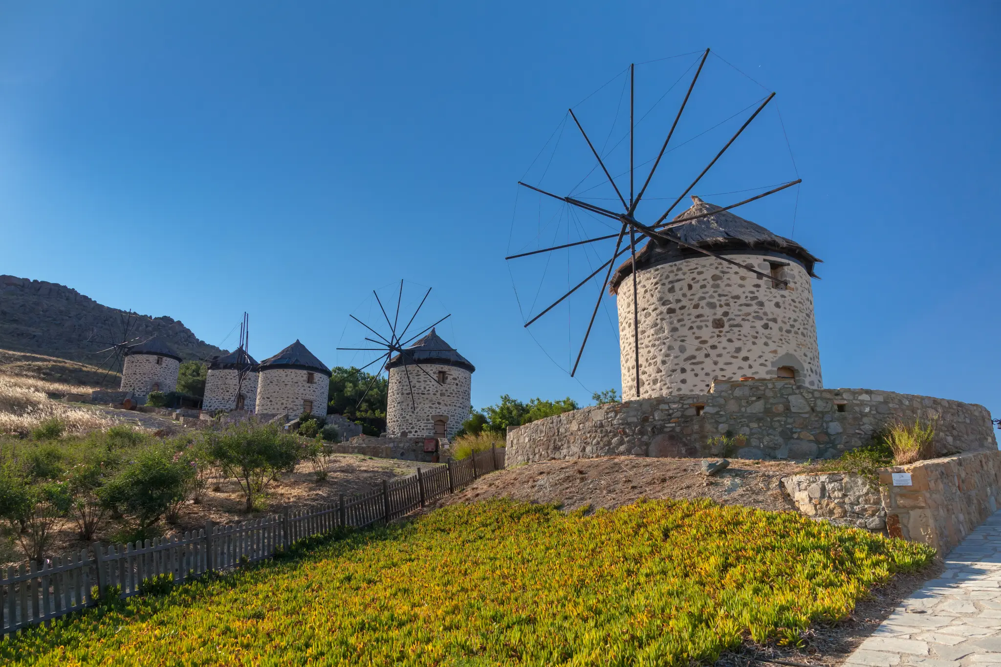 AdobeStock_295842196.jpeg
