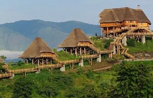 Mahogany-Springslodge-Bwindi.jpg