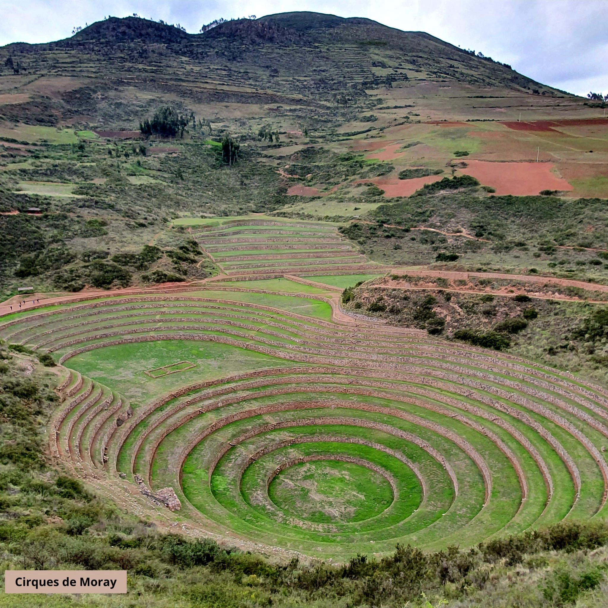 moray2.jpg