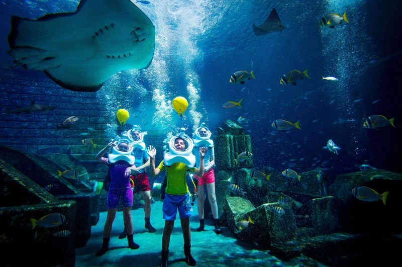 13_sharks.jpg