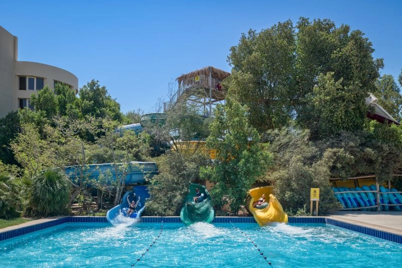Octopus_Slides_2.jpg