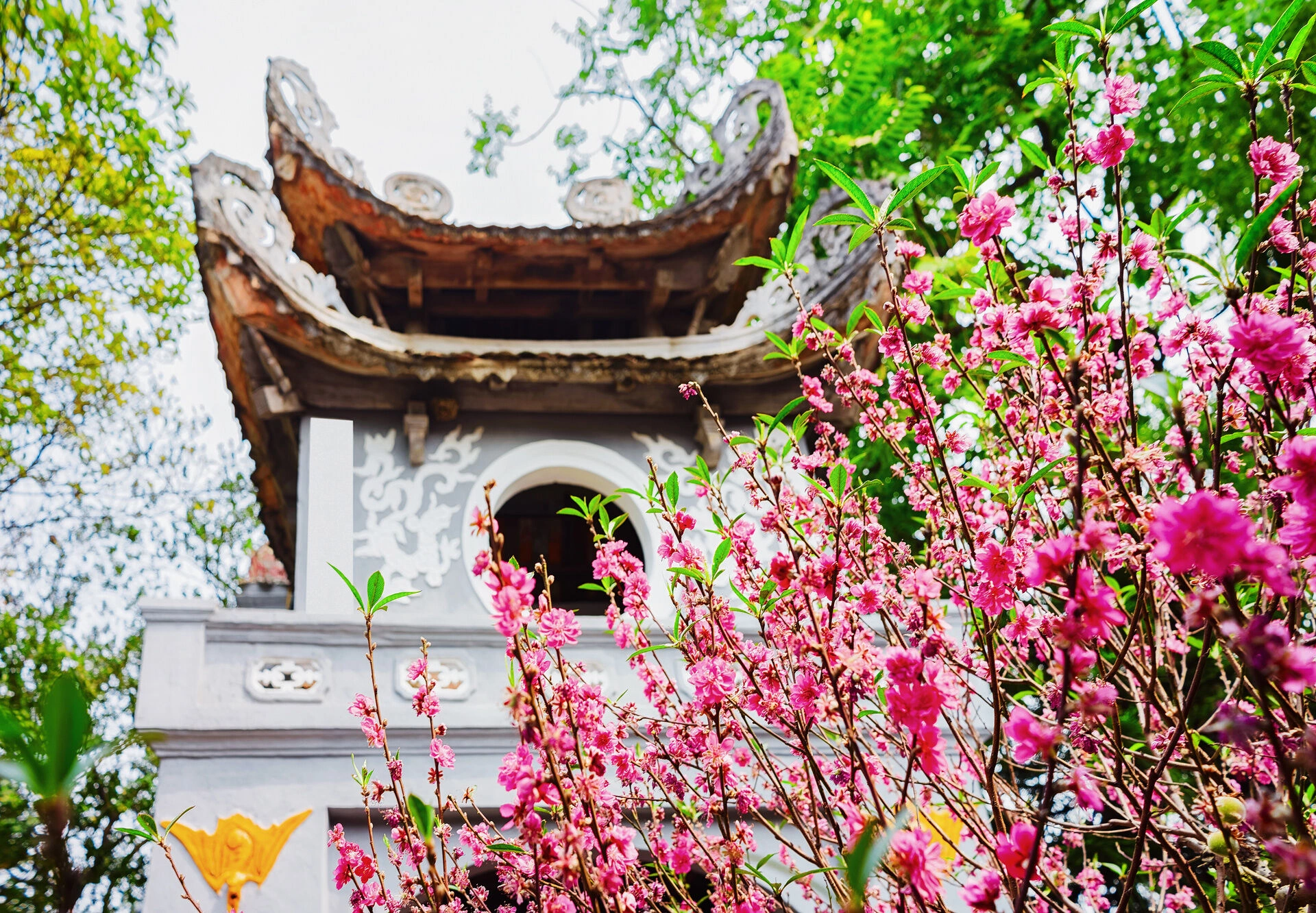 Ngoc_Son_Temple_in_Hanoi_Temple_de_la_literature_AdobeStock_206562611.jpeg
