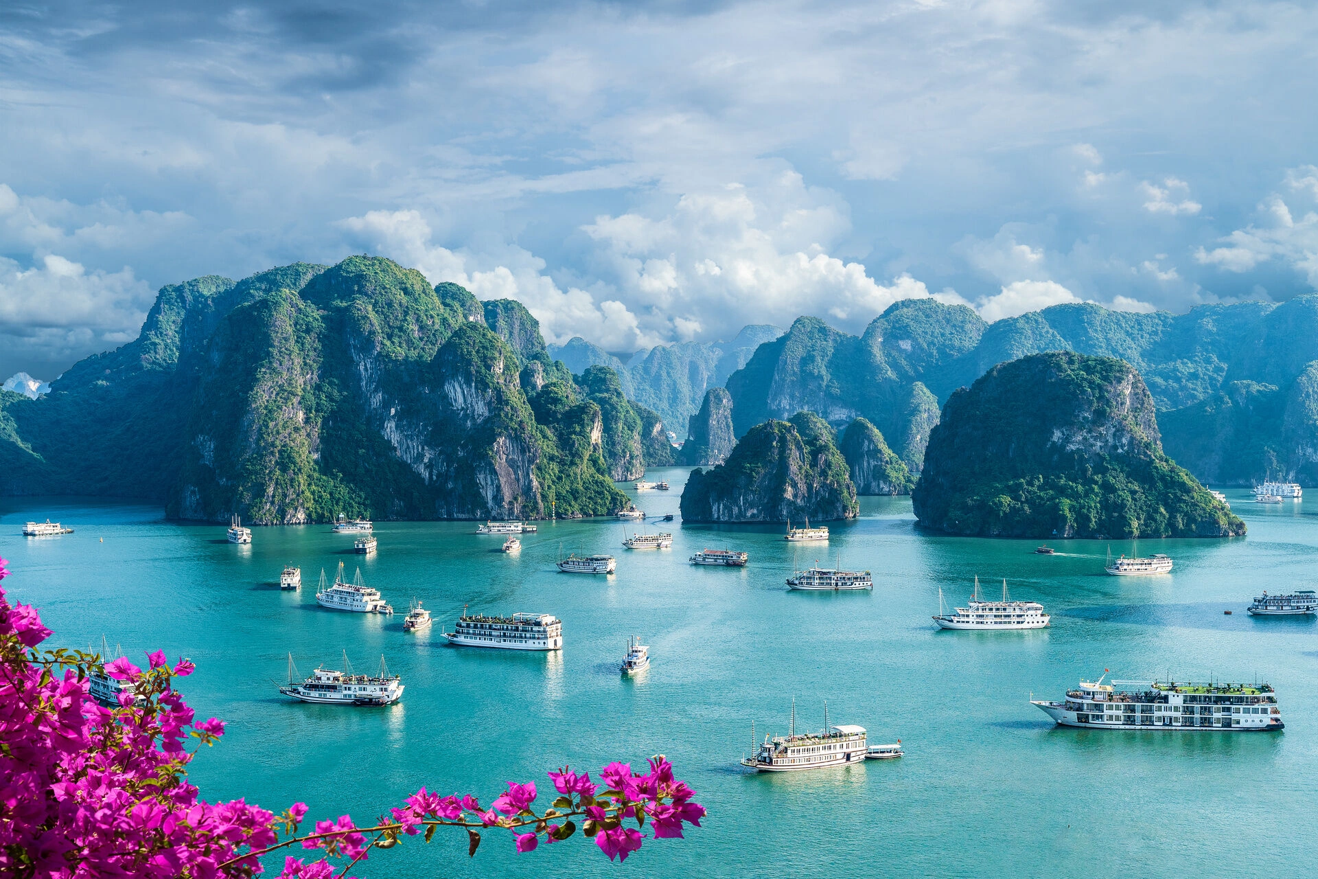HALONG_317327959.jpeg