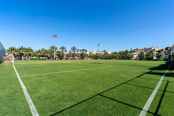 vue_902324_pgbighd.jpg