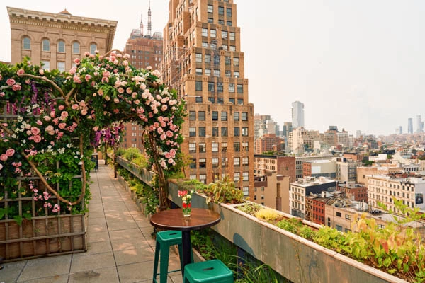 vue_772705_pgbighd.jpg