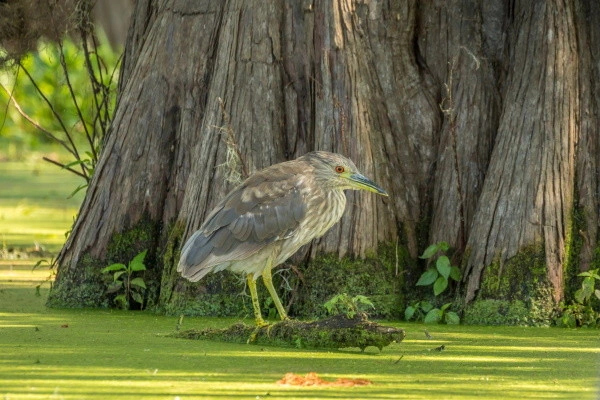vue_688205_pgbighd.jpg