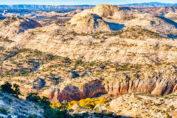 vue_614977_pgbighd.jpg