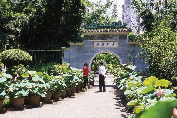 vue_323915_pgbighd.jpg
