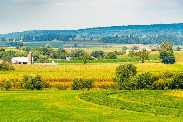 vue_618383_pgbighd.jpg