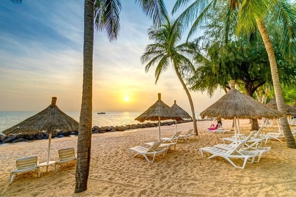 266025844.jpg