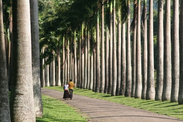vue_641401_pgbighd.jpg