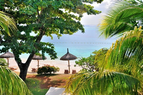 vue_665196_pgbighd.jpg