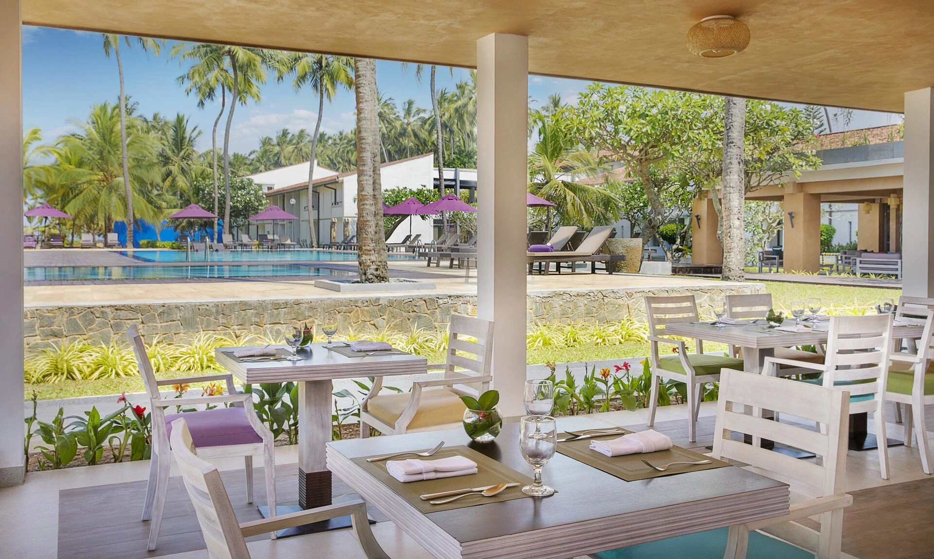 mangroves_terrace.jpg