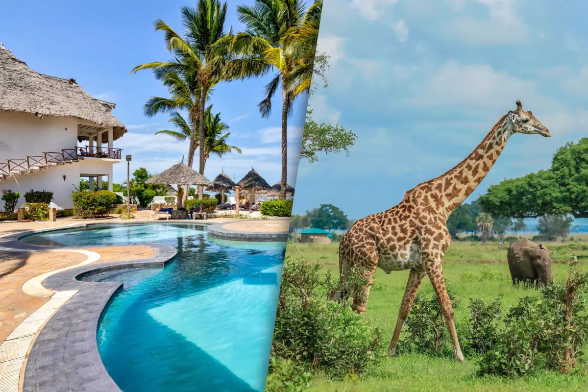 Sejour_Kappa_Club_Waridi_4_et_Safari_Saadani_2_nuits.webp