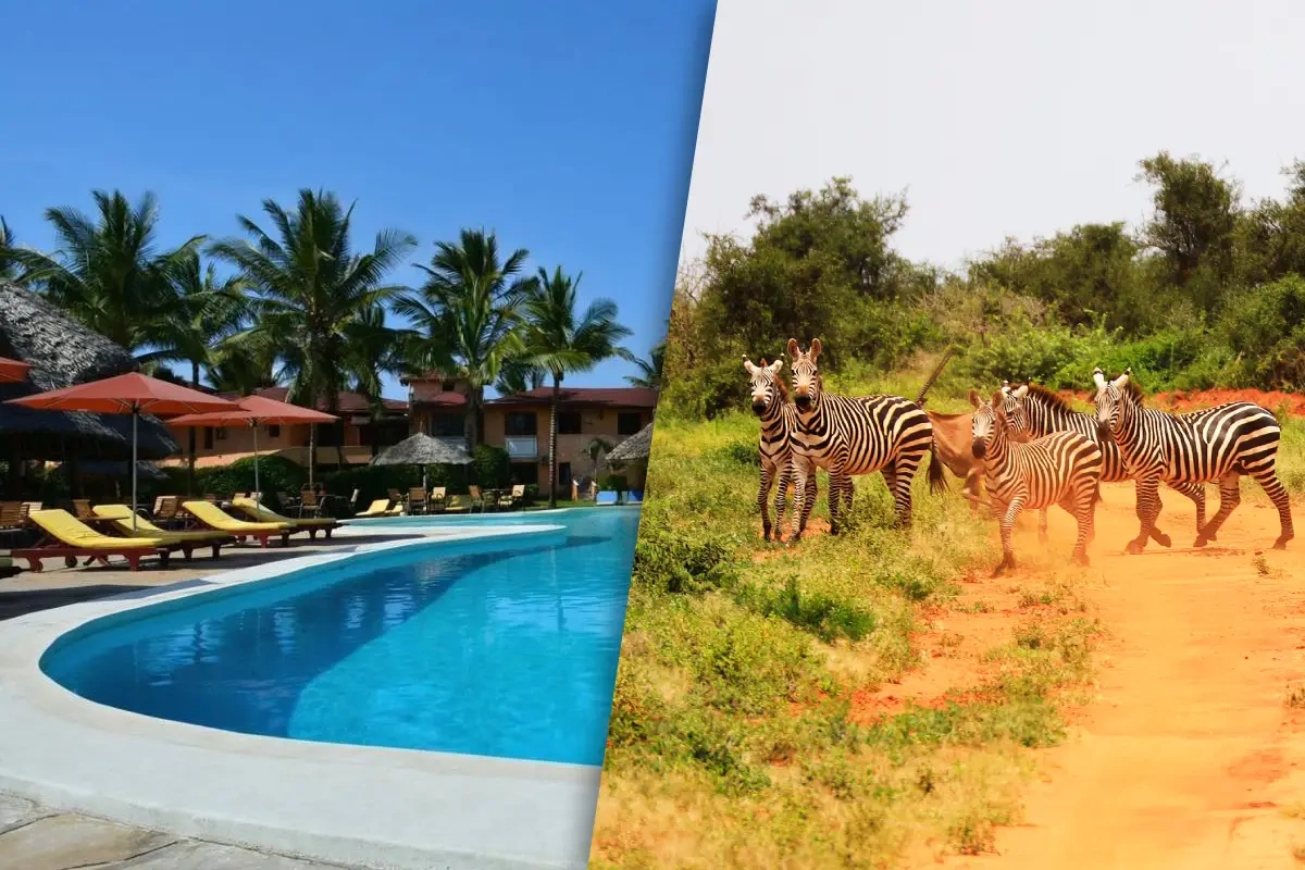 Safari_Tsavo_EastWest_et_Sejour_au_Kappa_Club_Crystal_Bay_Resort_4.webp