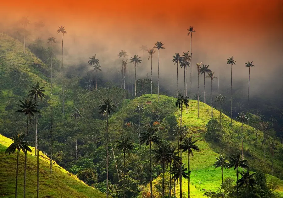 Colombie, vivre une aventure d’émotions et de lumière
