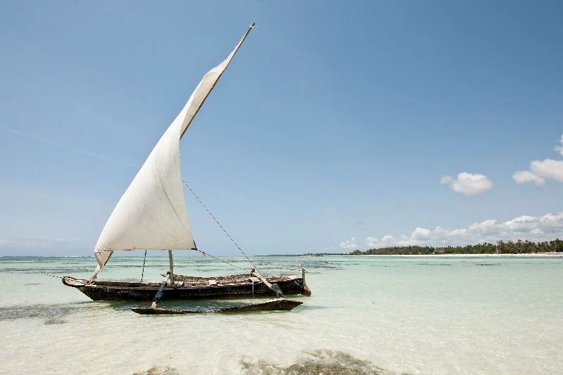 Village_Dhow_On_the_Beach.jpg
