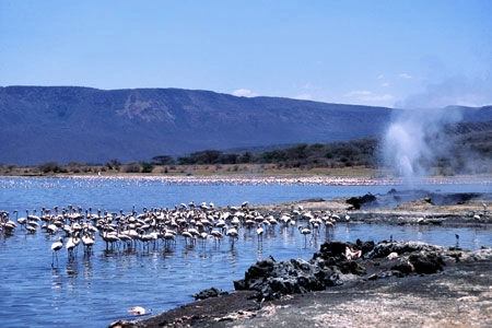 lake-bogoria.jpg