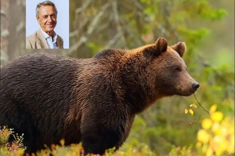 Canada un été indien au pays des ours 