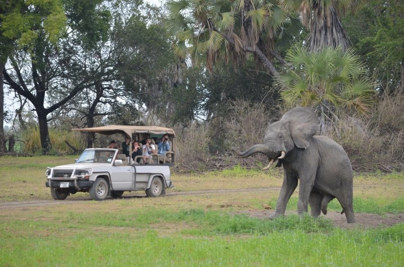 Selous.jpg