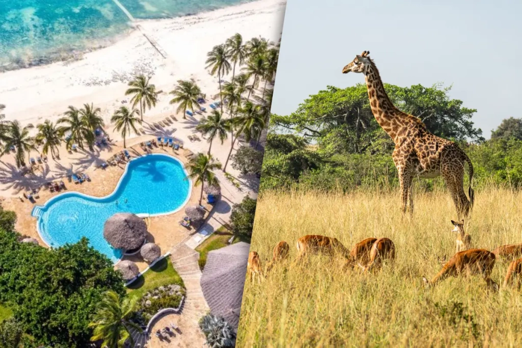 Safari Selous 1 Nuit & Séjour Kappa Club Zanzibar 5* NL
