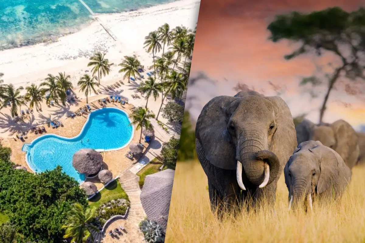 Safaris_Ngorongoro_Tarangire_et_Manyara_et_Sejour_au_Kappa_Club_Waridi_Beach_Resort_and_Spa.webp