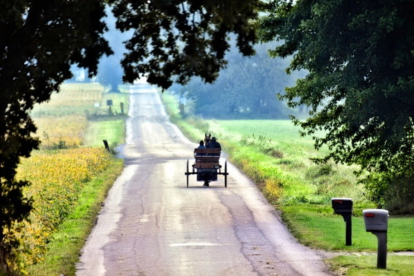Circuit Beautés du Nord-Est Américain