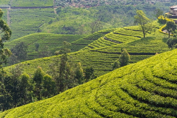 266700023.jpg