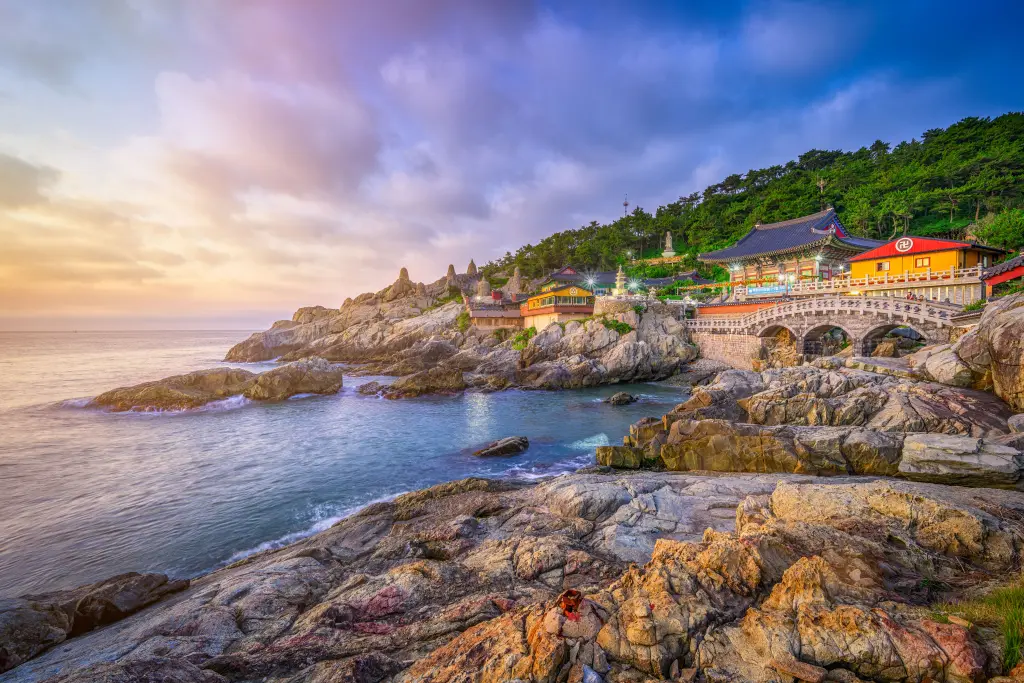 Corée du Sud là ou l'avenir rencontre l'héritage 