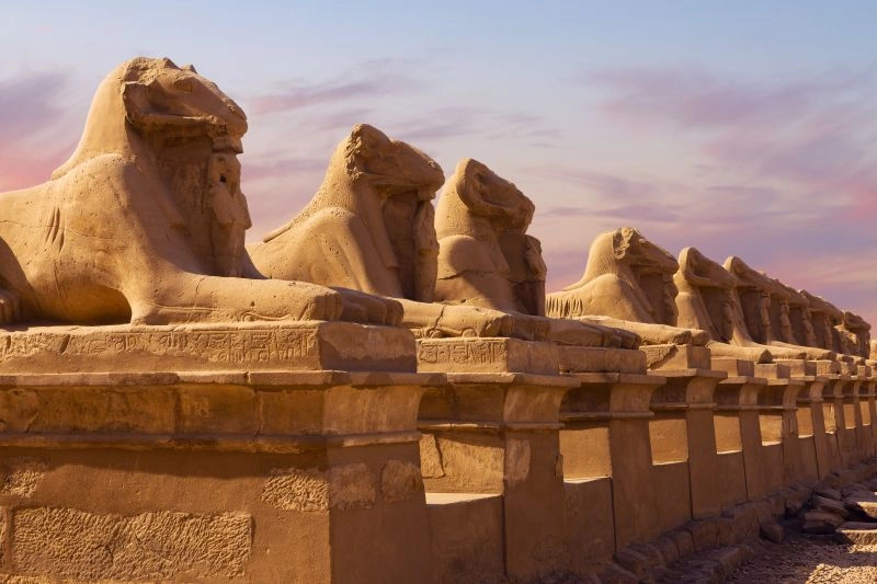 Pharaons_superstars_avec_GEM_1.jpg