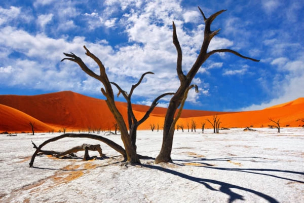 Autotour La Namibie Sauvage en liberté ****
