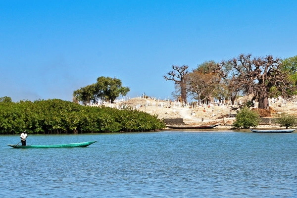 Circuit Beautés du Sénégal et balade avec les lions de Fathala + Extension Framissima Palm Beach