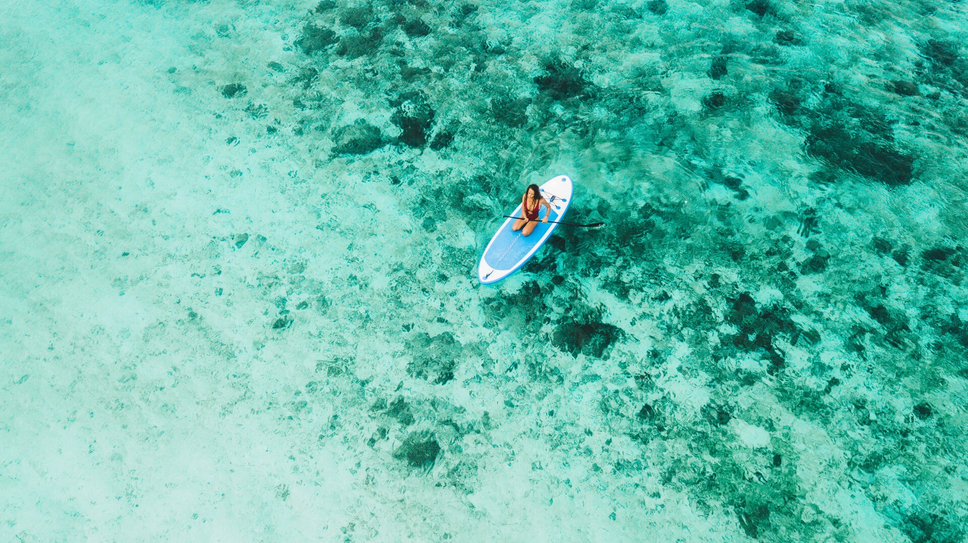 Paddle.jpeg