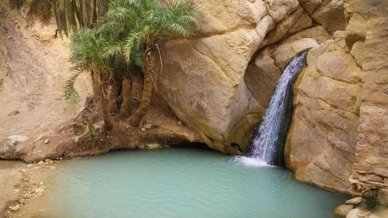 Circuit la balade Tunisienne & Extension Club Coralia One Resort Aqua & SPA 4*