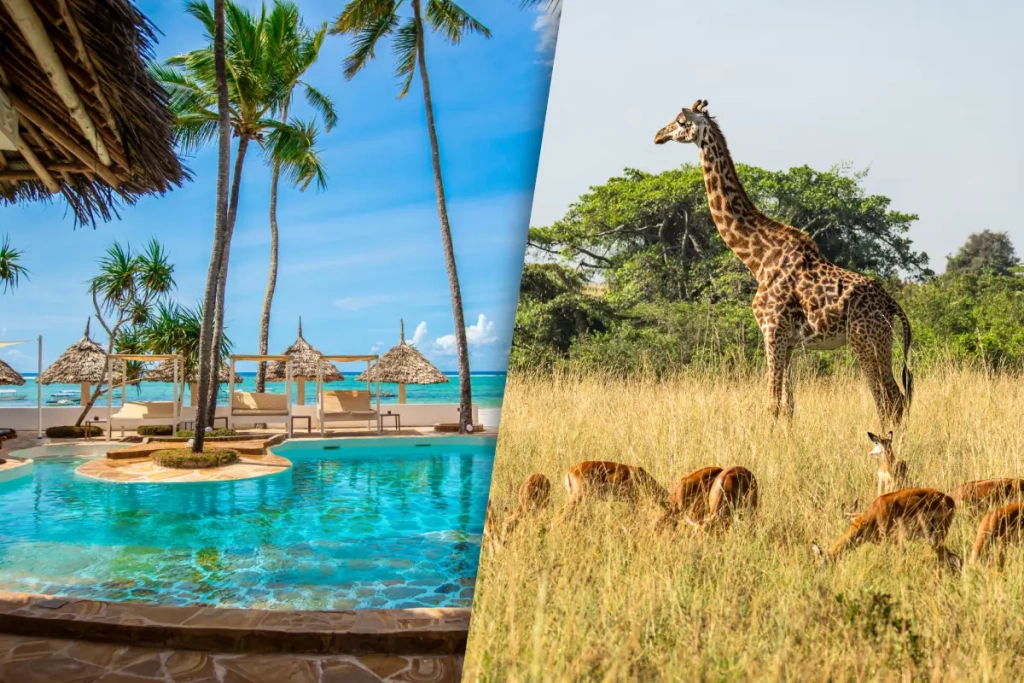Séjour Au Kappa Club Dreams Bay Boutique Hotel 4* & Safari Selous 1 nuit