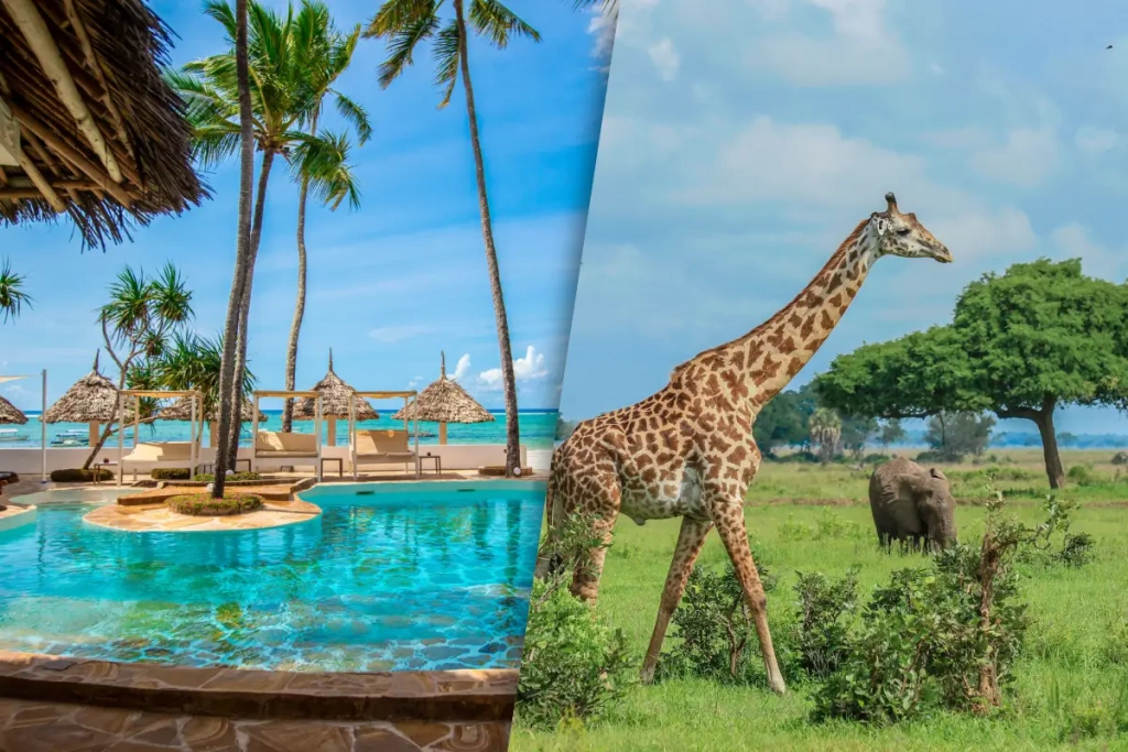 Séjour Kappa Club Dream's Bay Beach Hotel 4* & Safari Saadani 2 nuits