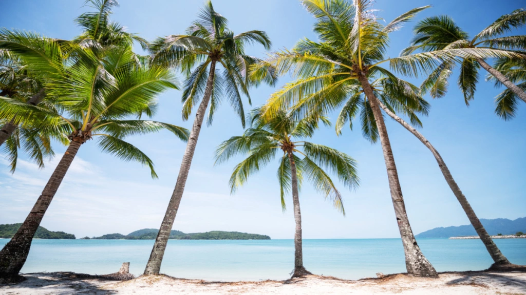 Circuit en liberté Duo Oasia Suite Kuala Lumpur & Mercure Langkawi en 12 nuits