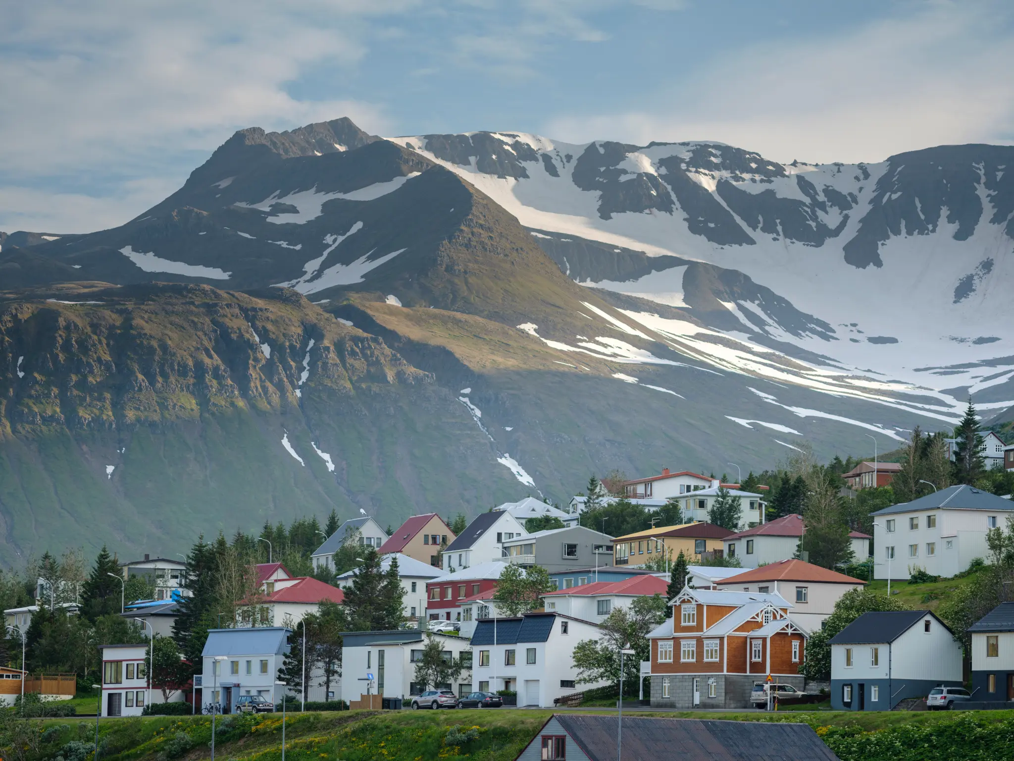 AdobeStock_460295536.jpeg