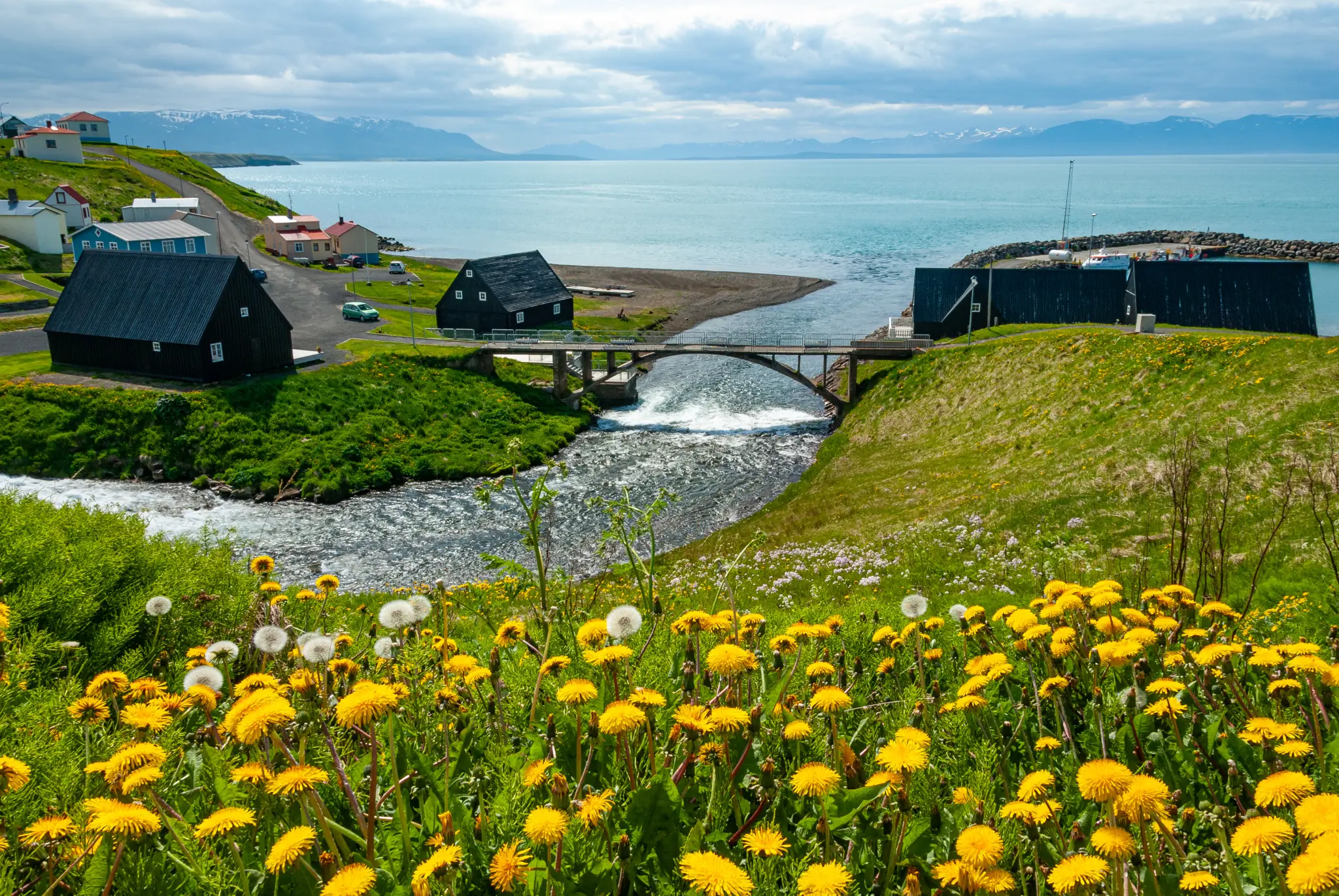 AdobeStock_1150505820.jpeg