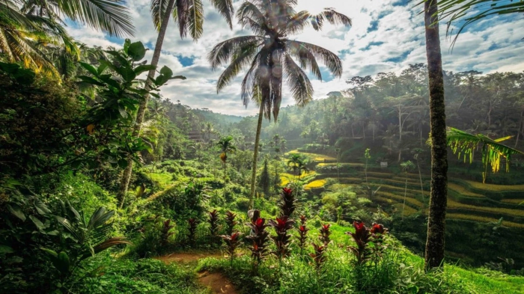 Circuit en Liberté Duo Cendana Resort Ubud & Respati Hôtel Sanur - 16 nuits