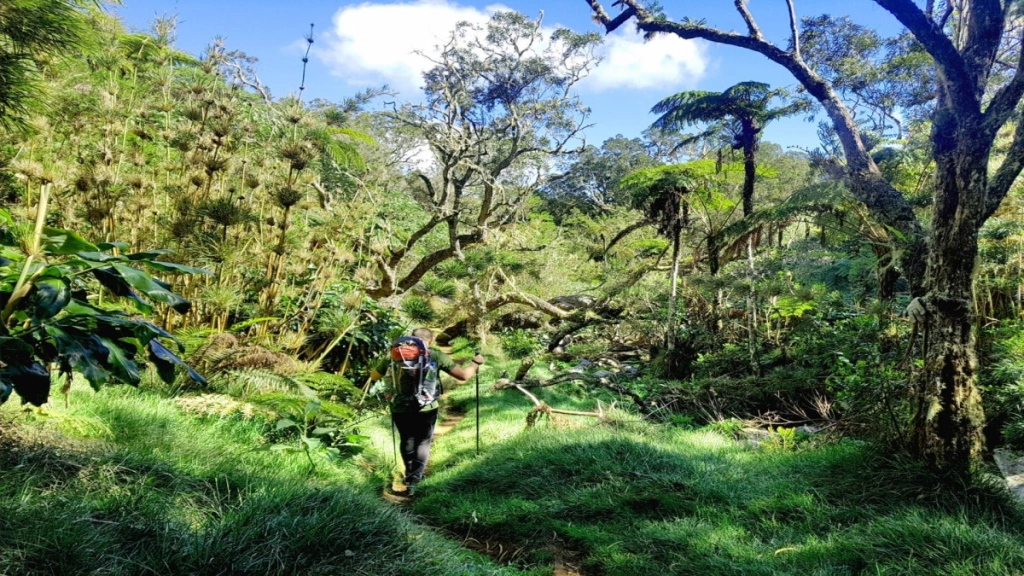 Circuit Privé L'île de la Réunion : entre balade, nature & culture