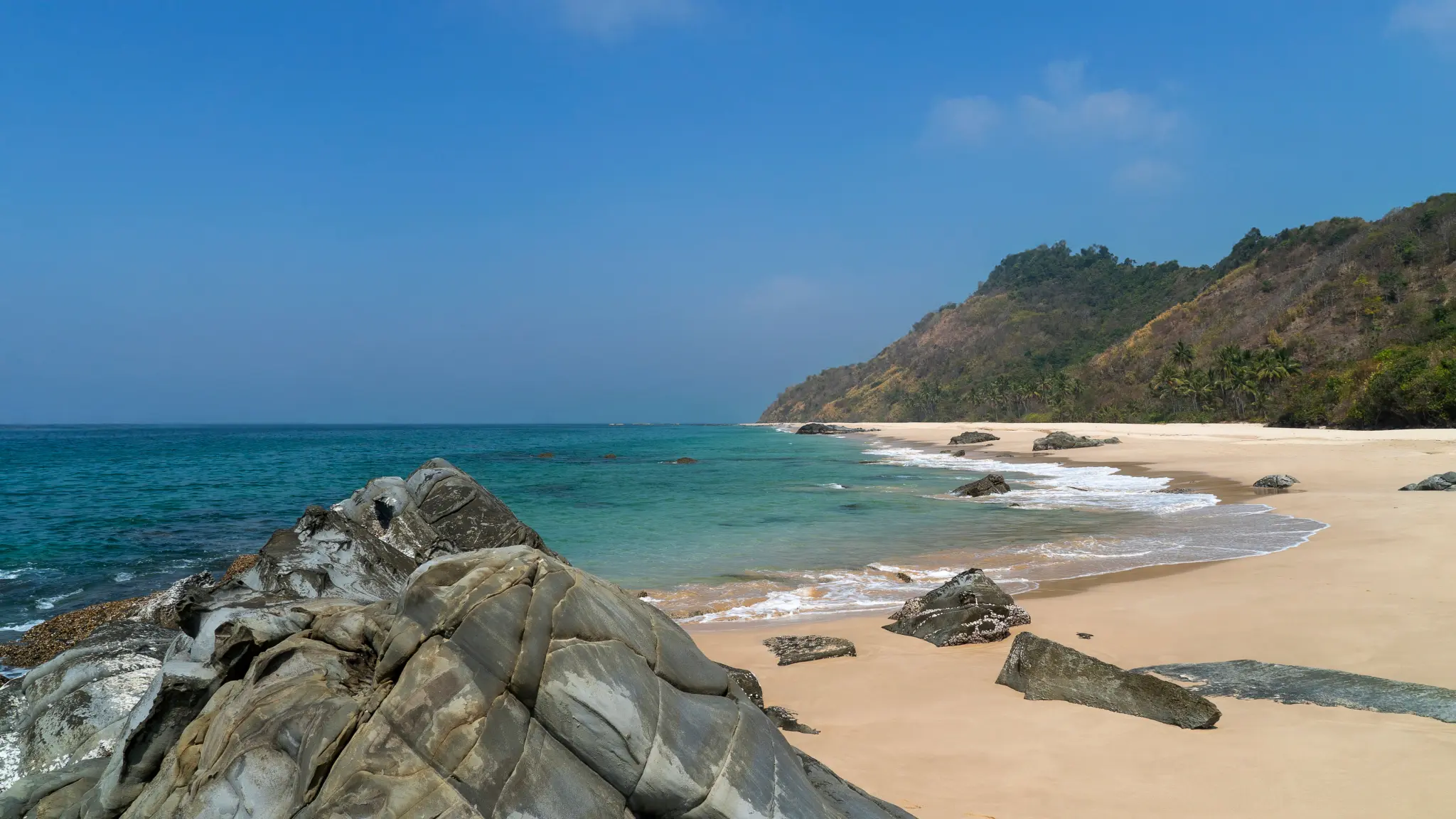 AdobeStock_1552318046.jpeg