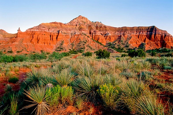vue_907539_pgbighd.jpg